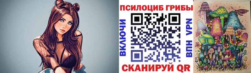 Галлюциногенные грибы Psilocybine cubensis  Купить закладки  Луга 